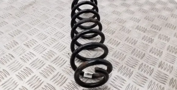 Rear coil spring