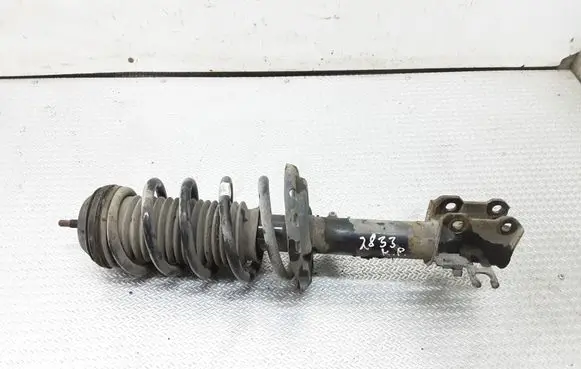 Opel Meriva B Front shock absorber with coil spring 22258451