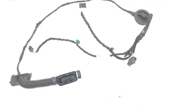 Volkswagen ID.3 Rear door wiring loom TAB016298MA