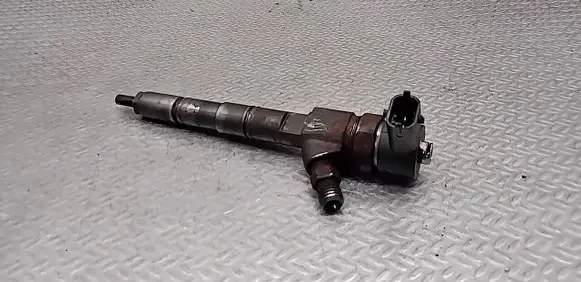 Opel Insignia A Fuel injector 0445110423 55577668