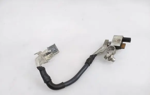 Negative earth cable (battery)