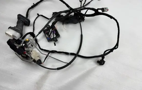 Dodge Challenger Front door wiring loom 68428101AC P68428101AC P68503654AA