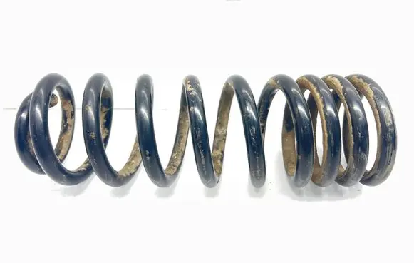 Rear coil spring