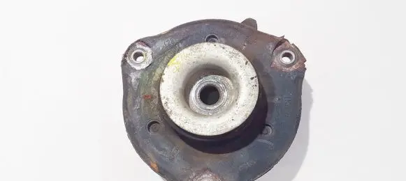 Coil spring mount