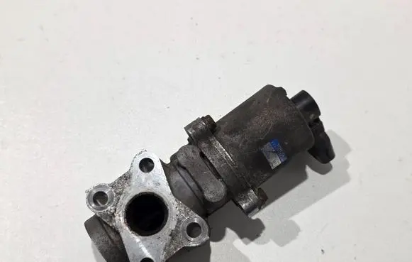 EGR valve