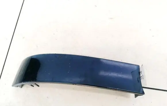 Rear/tail light trim molding
