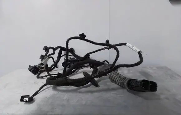 Ford Ecosport Front door wiring loom GN15-14631 GN1514631