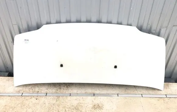 Engine bonnet/hood