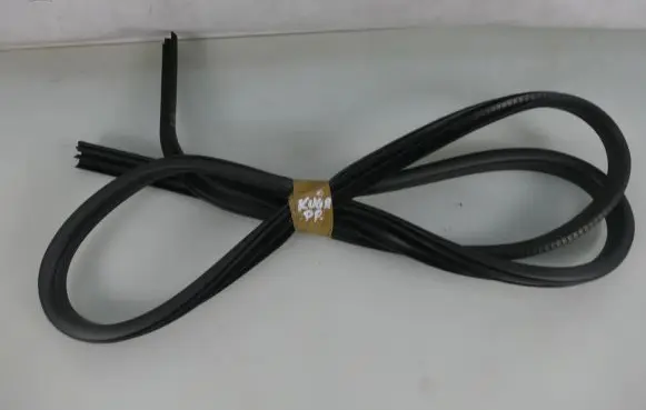 Ford Kuga II Front door rubber seal