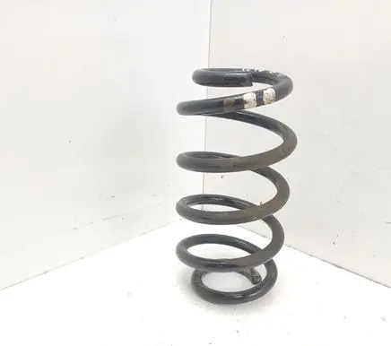 Rear coil spring