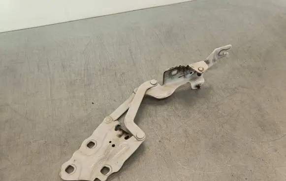 BMW X3 F25 Engine bonnet/hood hinges 7210729