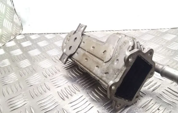 Skoda Octavia Mk2 (1Z) EGR valve cooler 038131513J