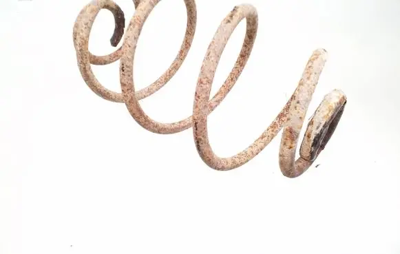 Rear coil spring