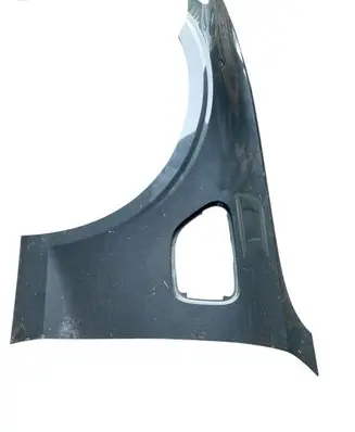 Fender