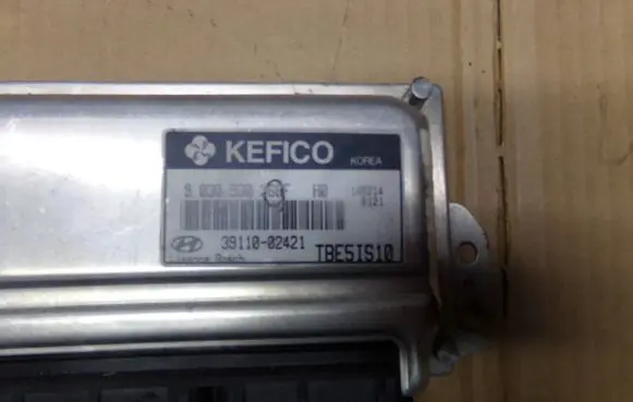 Hyundai Getz Engine control unit/module 3911002421