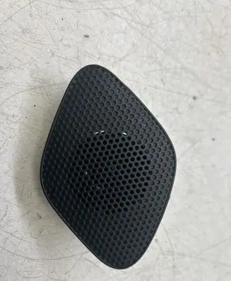 Panel speaker