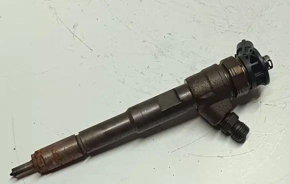 Mercedes-Benz Citan W415 Fuel injector 0445110485 H8201108033