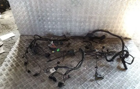 Audi A1 Other wiring loom 8X2955663A