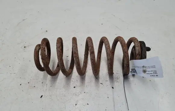 Volkswagen Golf V Rear coil spring