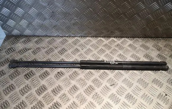 Tailgate/trunk strut/damper