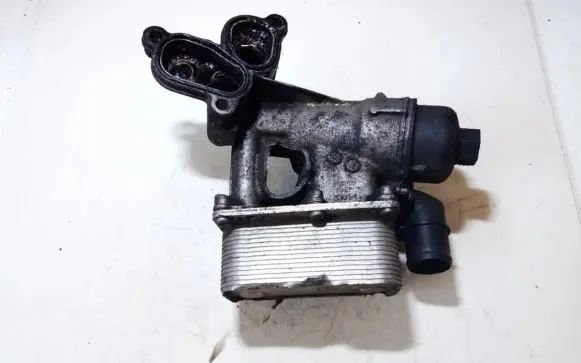 Renault Laguna III Engine oil radiator 8200797762