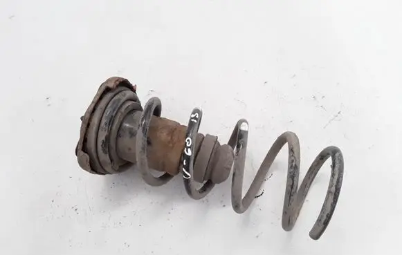 Volvo V60 Rear coil spring 31304057