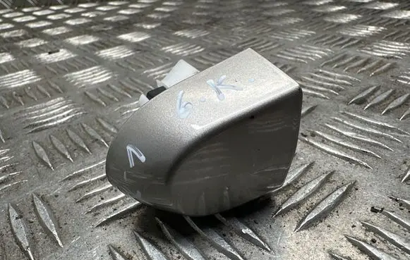 BMW X1 E84 Rear door handle cover 242699
