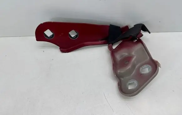 Tesla Model 3 Engine bonnet/hood hinges 109879300