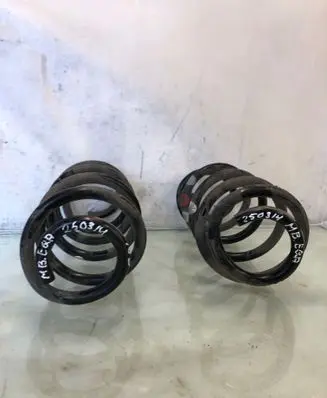 Rear coil spring