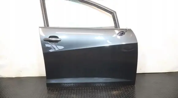 Seat Ibiza IV (6J,6P) Front door