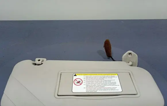 Citroen C5 Sun visor