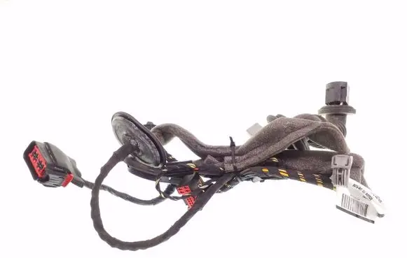 Rear door wiring loom