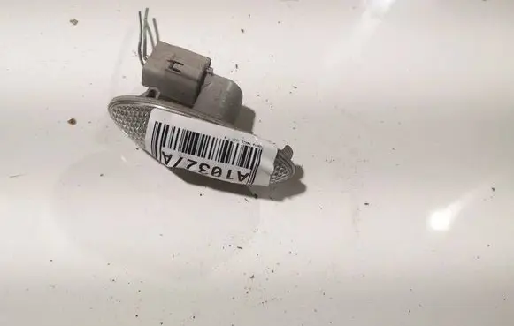 Front fender indicator light