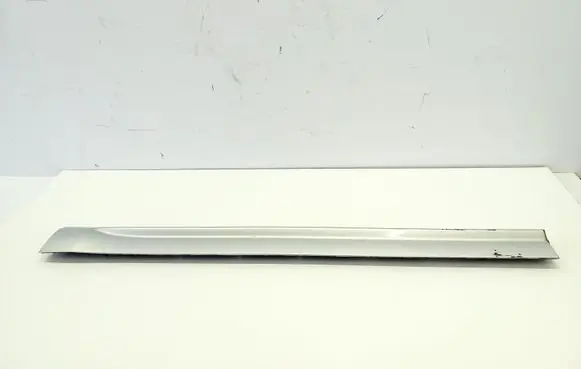 Rear door trim (molding)