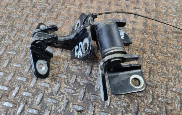 Dodge Charger Rear door hinge set 