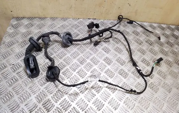 Front door wiring loom