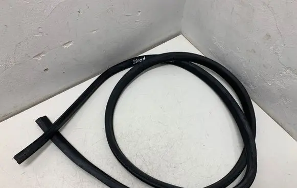 Ford Ecosport Front door rubber seal 