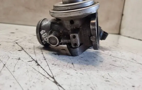 EGR valve