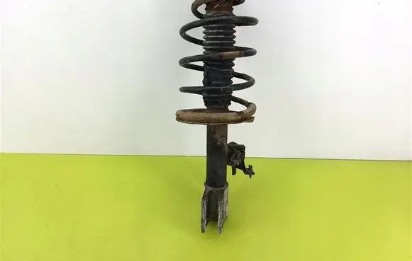 Peugeot 307 Front shock absorber with coil spring 