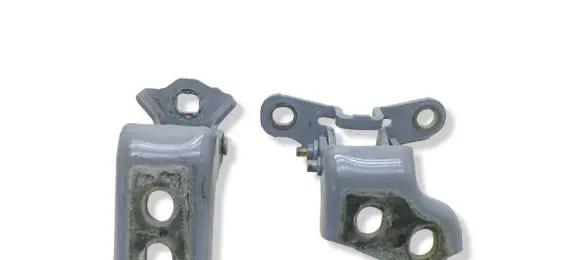Renault Clio V Rear door hinge set 