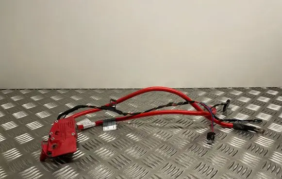 BMW 1 F20 F21 Positive cable (battery) 9253111