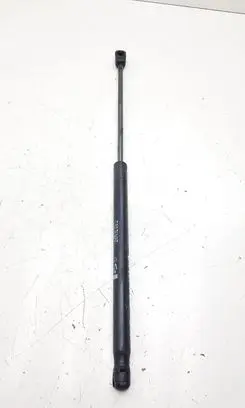 Renault Latitude (L70) Tailgate/trunk strut/damper 904520001R