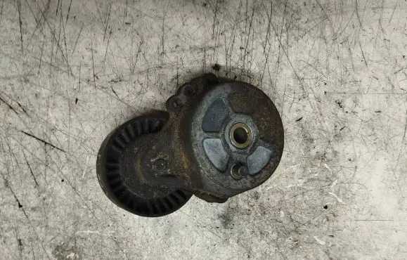 Peugeot 406 Generator/alternator belt tensioner