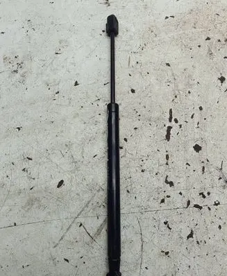 Tailgate strut