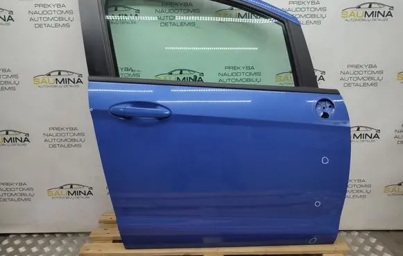 Ford B-MAX Front door