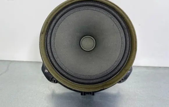 Jaguar F-Pace Front door speaker GX7318808DB