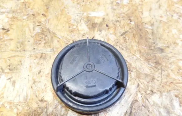 Headlight/headlamp dust cover