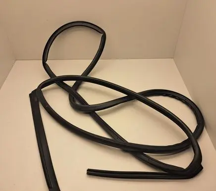KIA EV6 Rubber seal rear door 
