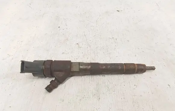 Fiat Ducato Fuel injector 0445110418 8RHZ4S5F 504389548