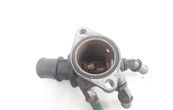 Thermostat/thermostat housing